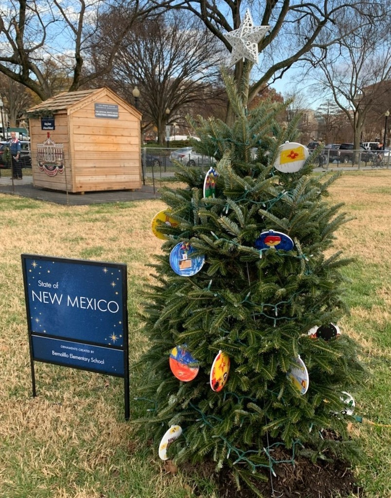 BES White House Xmas Tree