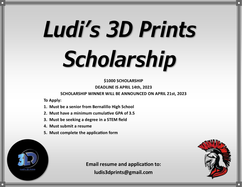 Ludi's 3D Prints Scholarship